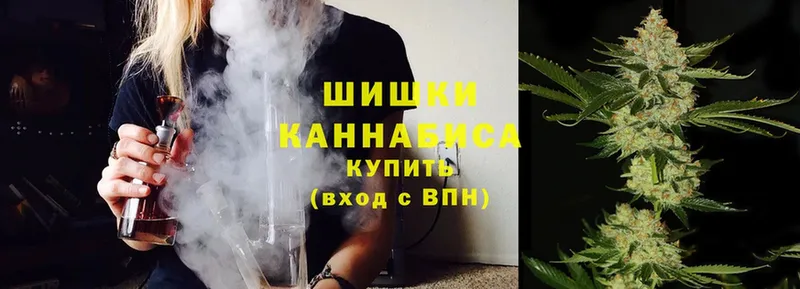 Конопля White Widow  Нарткала 